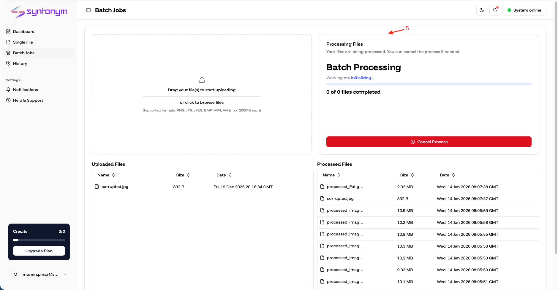 Batch Jobs Progress View